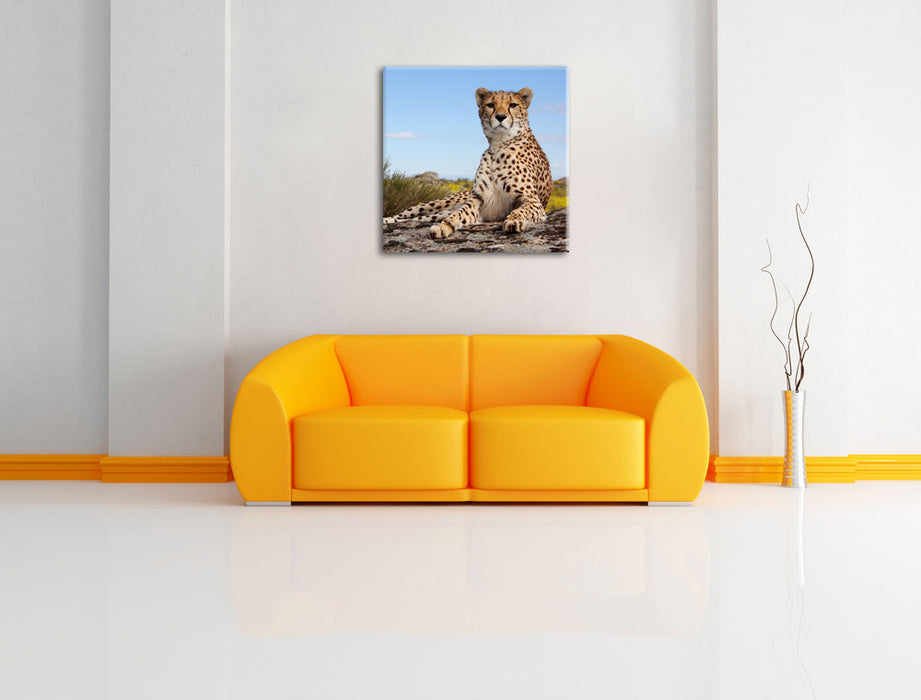 Gepard in Savanne Leinwandbild Quadratisch über Sofa