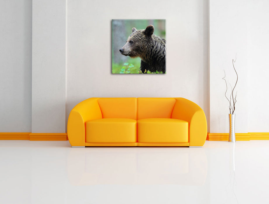 Kleiner Bär Leinwandbild Quadratisch über Sofa