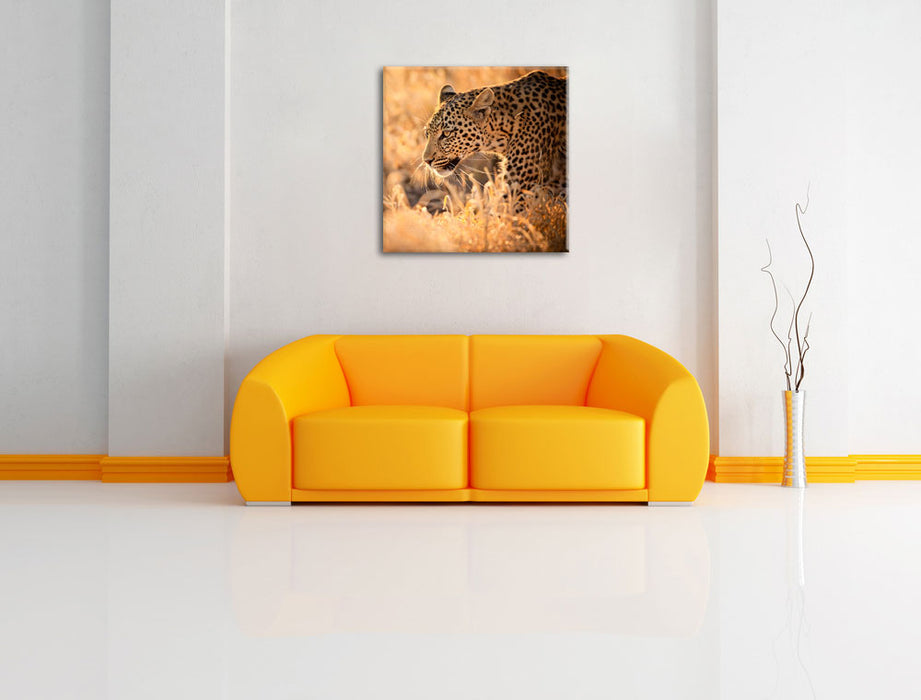 Jagender Leopard Leinwandbild Quadratisch über Sofa