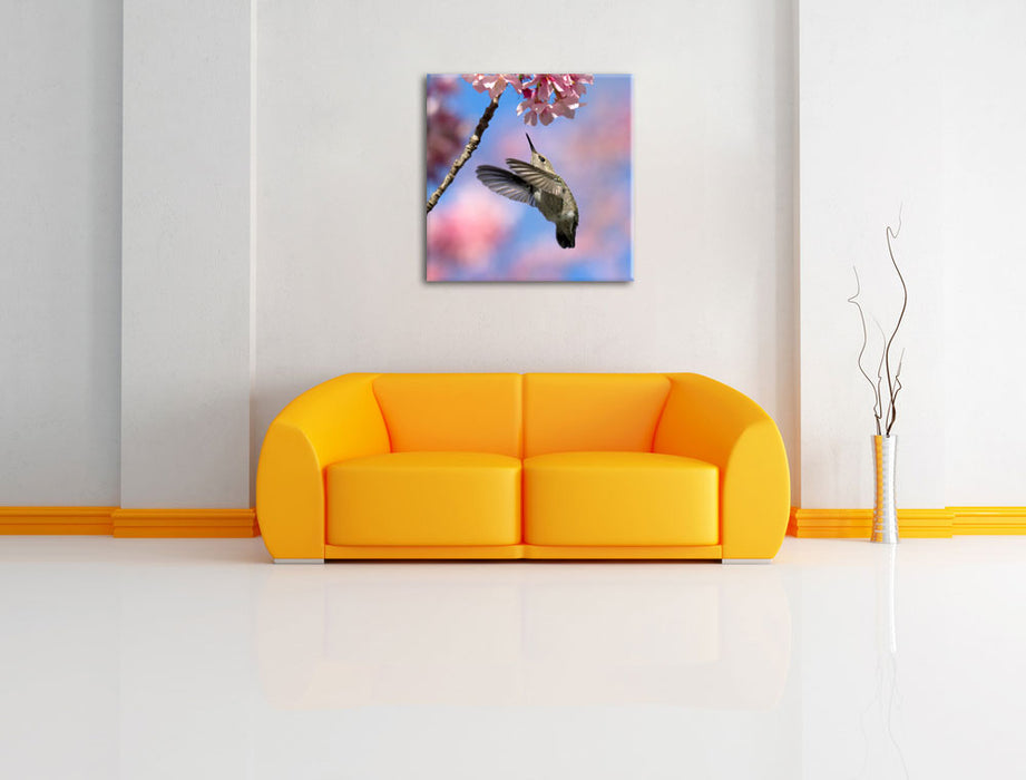 Kolibri an Kirschblüte Leinwandbild Quadratisch über Sofa