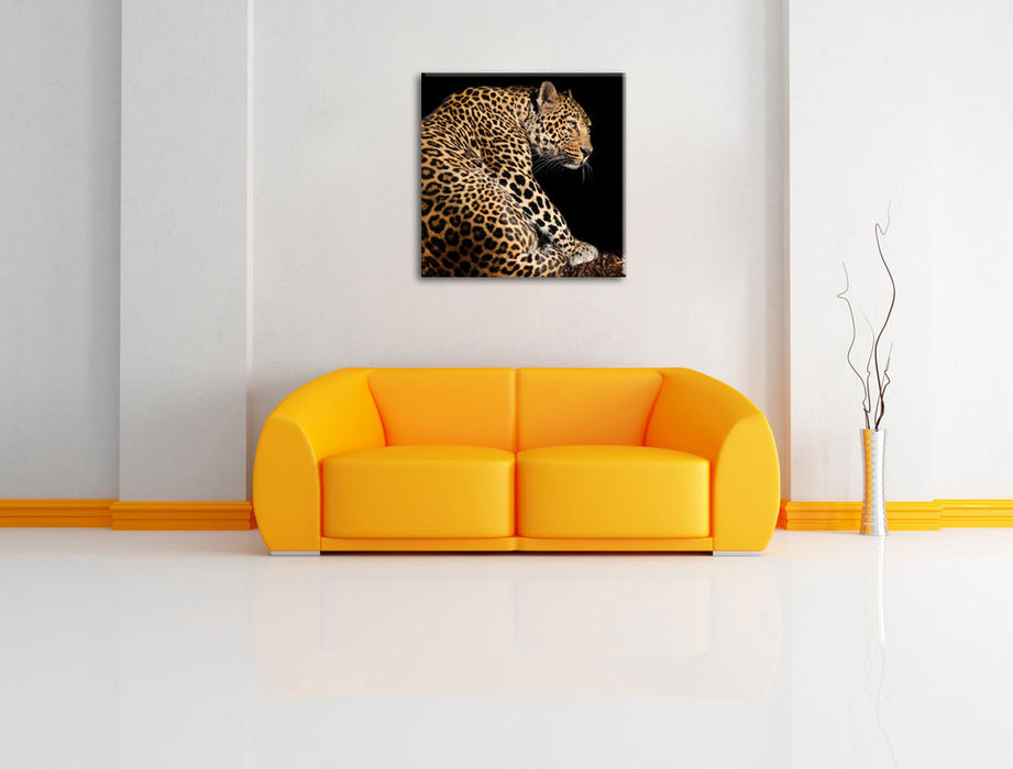 Anmutiger Leopard Leinwandbild Quadratisch über Sofa