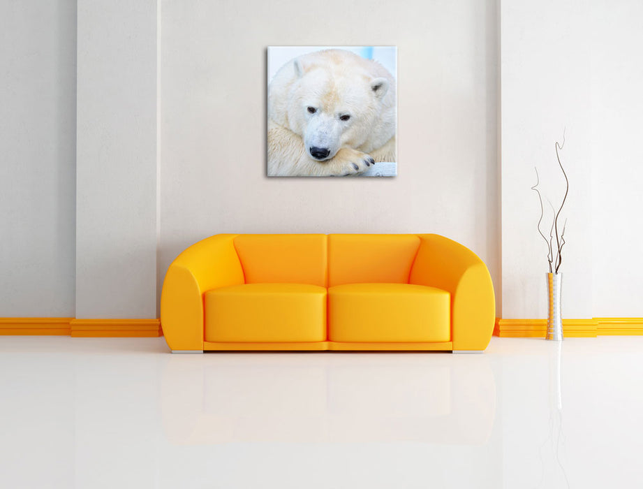 Nachdenklicher Eisbär Leinwandbild Quadratisch über Sofa
