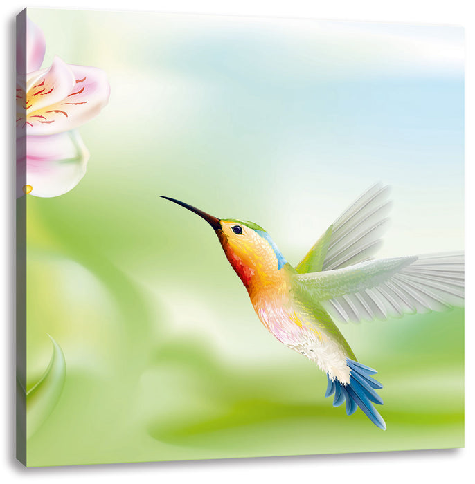 Wunderschöner Kolibri mit Blüte Leinwandbild Quadratisch
