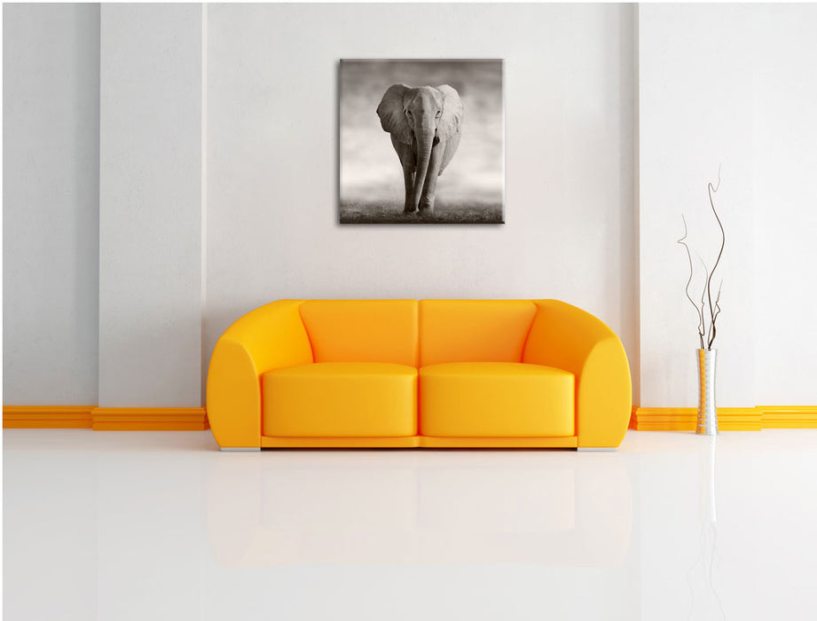Einsamer Elefant Leinwandbild Quadratisch über Sofa