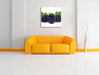 Leckere Brombeeren Leinwandbild Quadratisch über Sofa