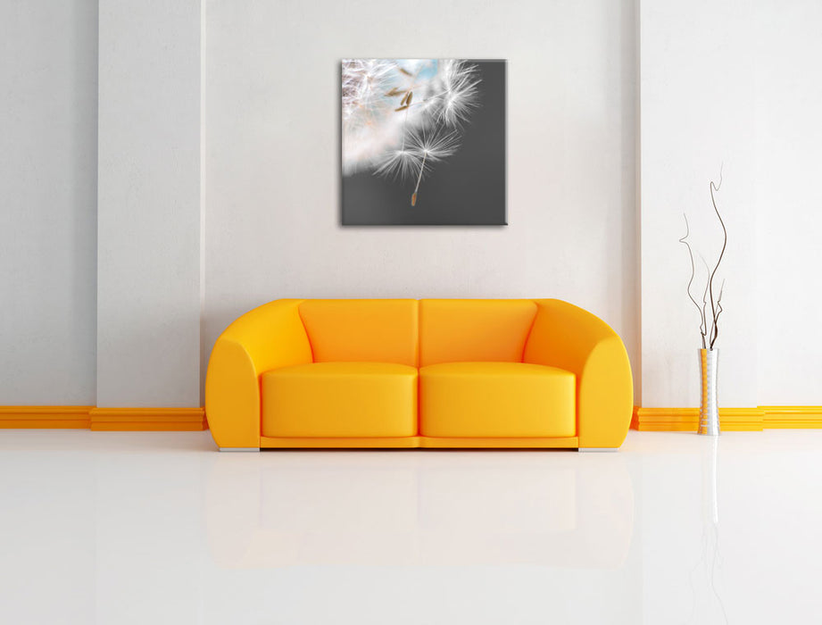 hübsche Pusteblume Leinwandbild Quadratisch über Sofa