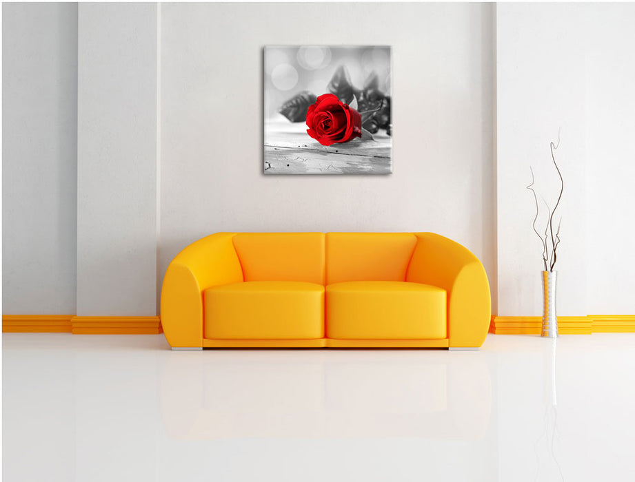 Rote Rose auf Holztisch Leinwandbild Quadratisch über Sofa