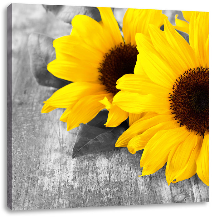 schöne Sonnenblumen auf Holztisch Leinwandbild Quadratisch