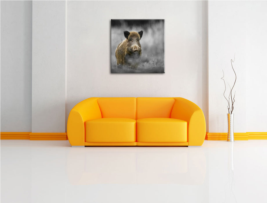 einsames Wildschwein im Wald Leinwandbild Quadratisch über Sofa