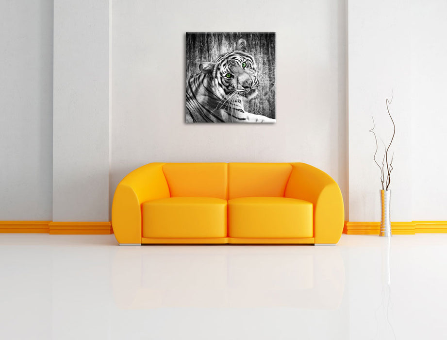 schöner neugieriger Tiger Leinwandbild Quadratisch über Sofa