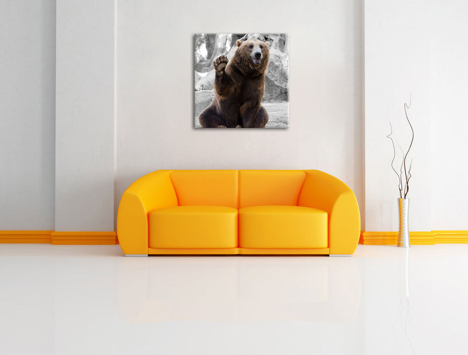 dicker Bär sagt Hallo Leinwandbild Quadratisch über Sofa