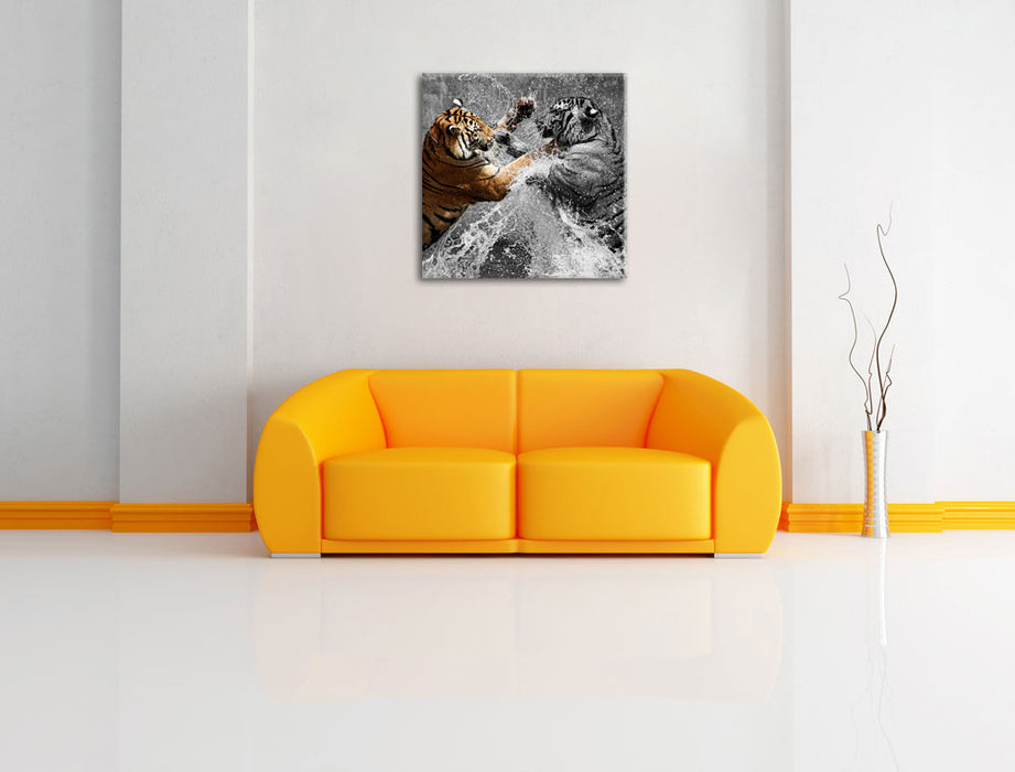 prachtvolle Tiger kämpfen Leinwandbild Quadratisch über Sofa