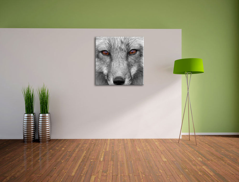 wunderschöner Fuchs im Portrait  Leinwand Quadratisch im Flur