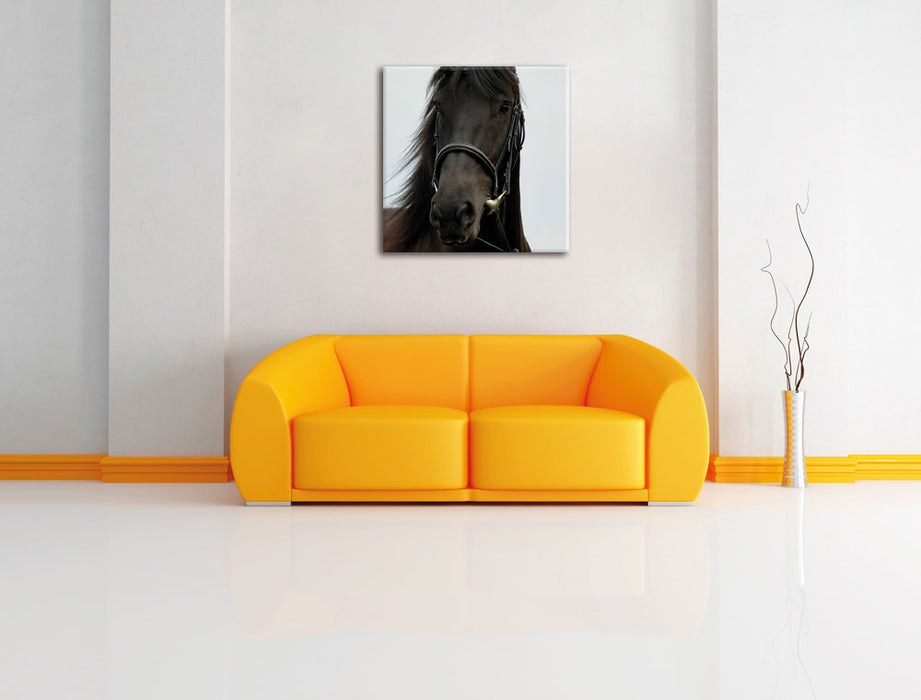 braunes Pferd Leinwandbild Quadratisch über Sofa