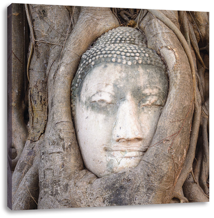 Buddha Kopf im Baum Leinwandbild Quadratisch