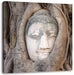 Buddha Kopf im Baum Leinwandbild Quadratisch
