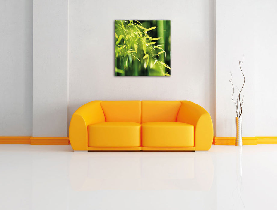 Bambus mit Blättern Leinwandbild Quadratisch über Sofa