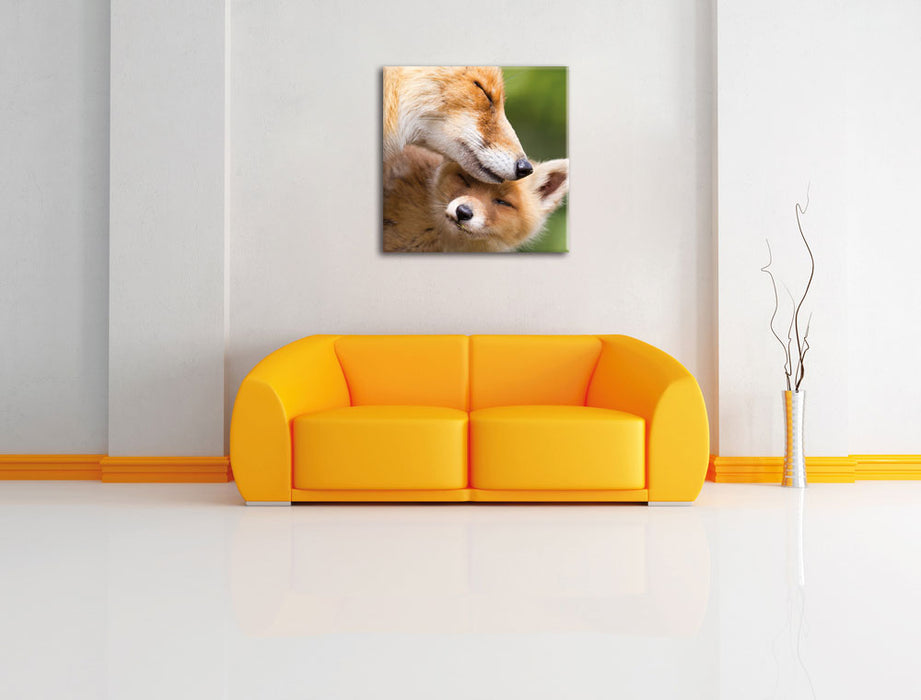 Kuschelnde Füchse Leinwandbild Quadratisch über Sofa