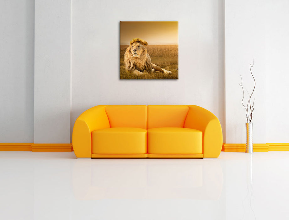 Majestätischer Löwe Leinwandbild Quadratisch über Sofa