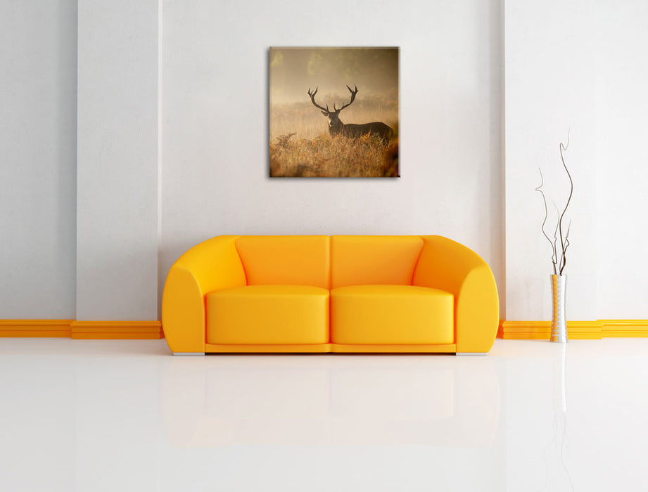 Rotwild Hirsch im Nebel Leinwandbild Quadratisch über Sofa