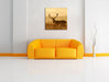 Rotwild Hirsch in Abenddämmerung Leinwandbild Quadratisch über Sofa