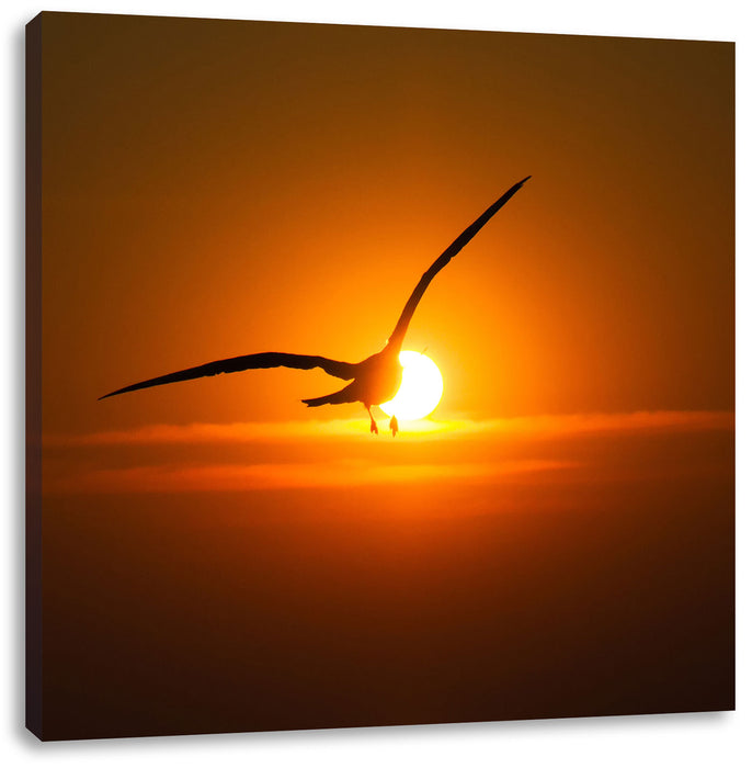 Möwe fliegt in den Sonnenuntergang Leinwandbild Quadratisch