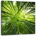 Grüner Bambus Leinwandbild Quadratisch