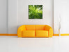 Grüner Bambus Leinwandbild Quadratisch über Sofa