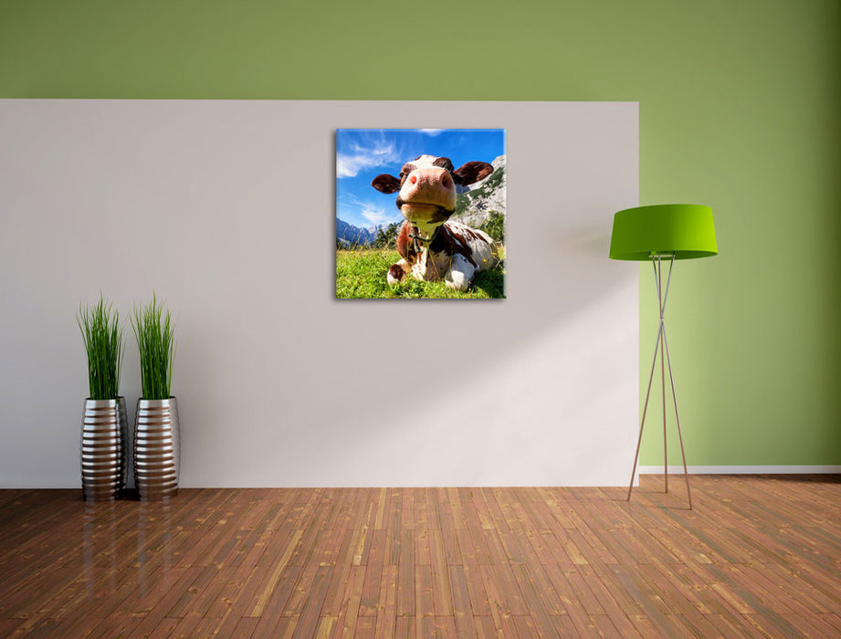 Kuh im Karwendelgebirge  Leinwand Quadratisch im Flur