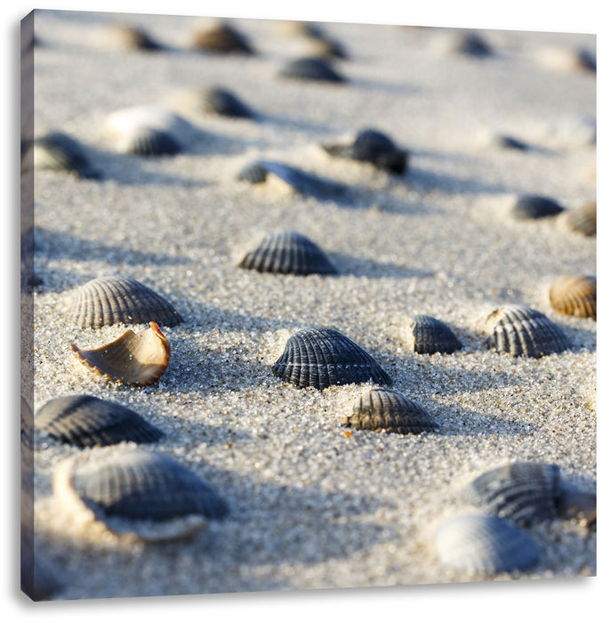 Muscheln im Sand Leinwandbild Quadratisch