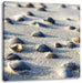 Muscheln im Sand Leinwandbild Quadratisch