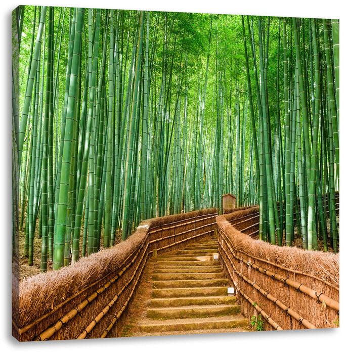 Kyoto Japan Bambuswald Leinwandbild Quadratisch