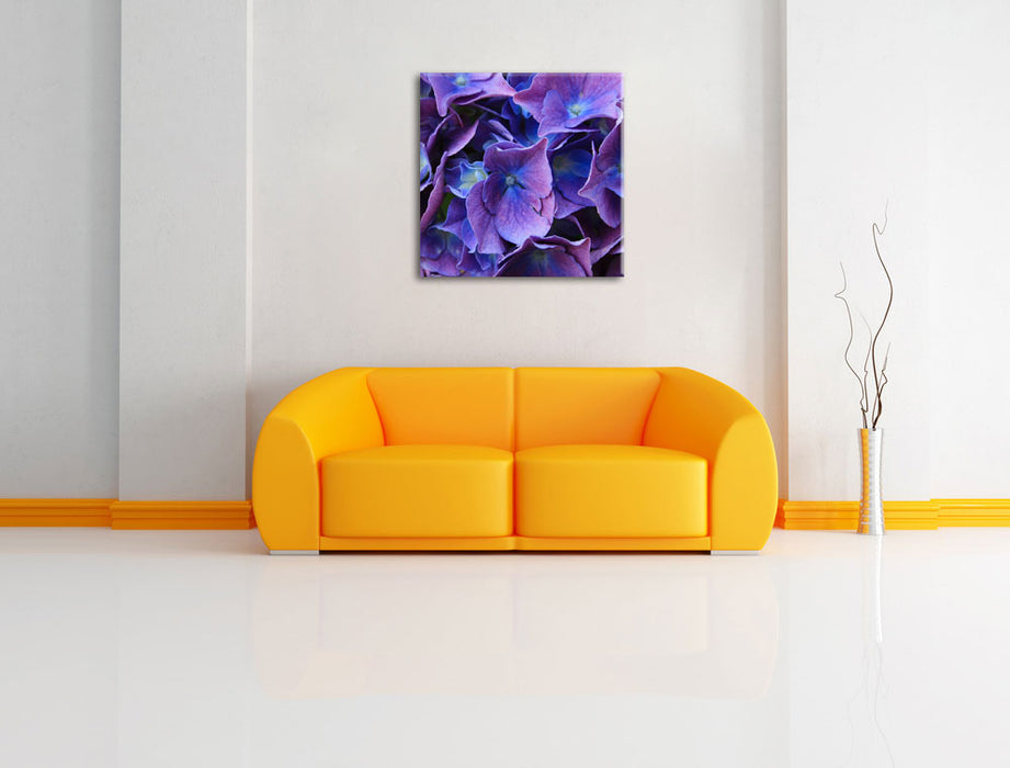 Blaue Hortensien Blüte Leinwandbild Quadratisch über Sofa