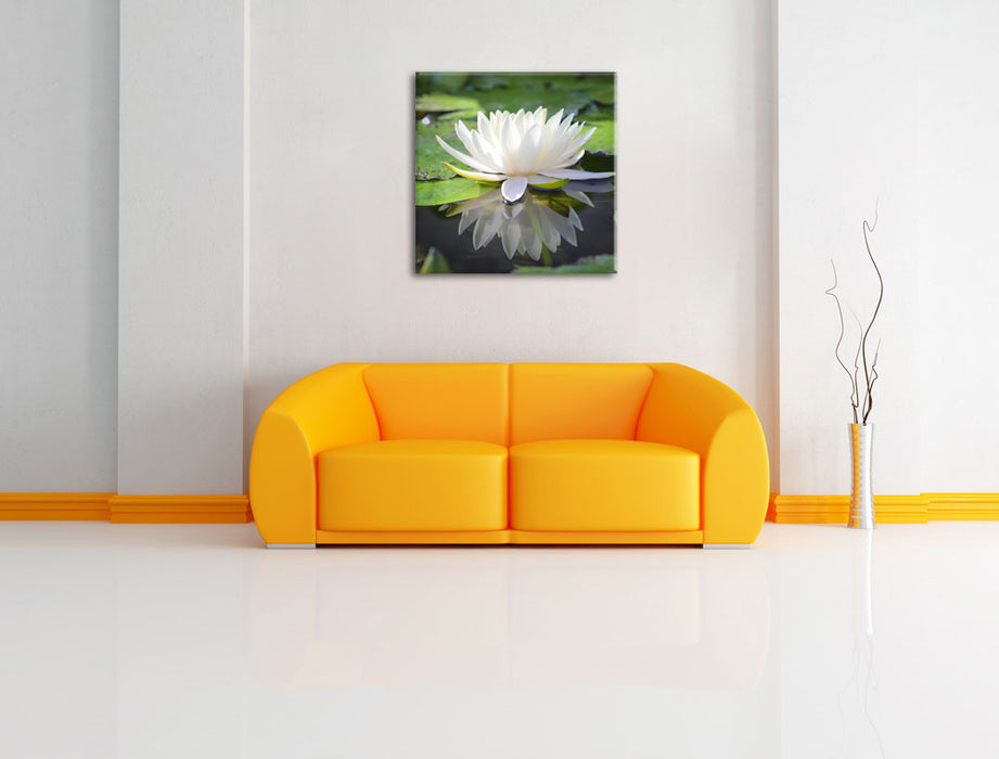 Weiße Lotusblume im Wasser Leinwandbild Quadratisch über Sofa