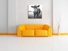 Kuh auf Wiese B&W Leinwandbild Quadratisch über Sofa