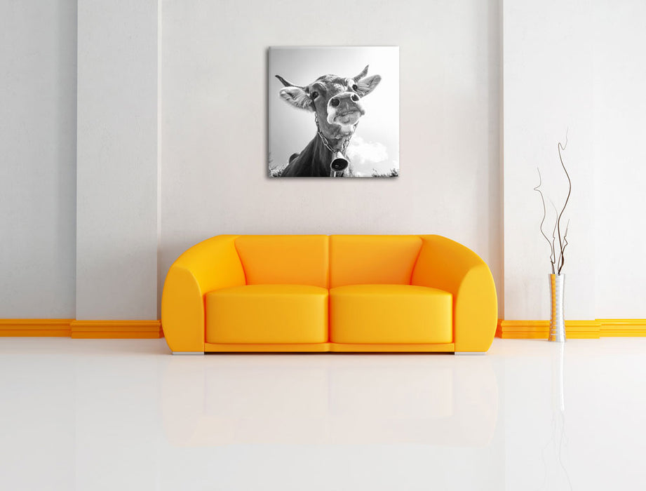 Portrait einer Kuh B&W Leinwandbild Quadratisch über Sofa