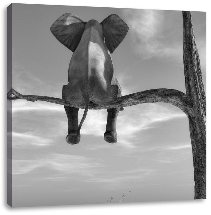 Elefant auf einem Ast in der Wüste B&W Leinwandbild Quadratisch
