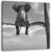 Elefant auf einem Ast in der Wüste B&W Leinwandbild Quadratisch