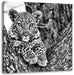 Leopardenbaby Leinwandbild Quadratisch