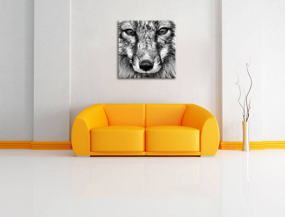 Fuchs Porträ Leinwandbild Quadratisch über Sofa