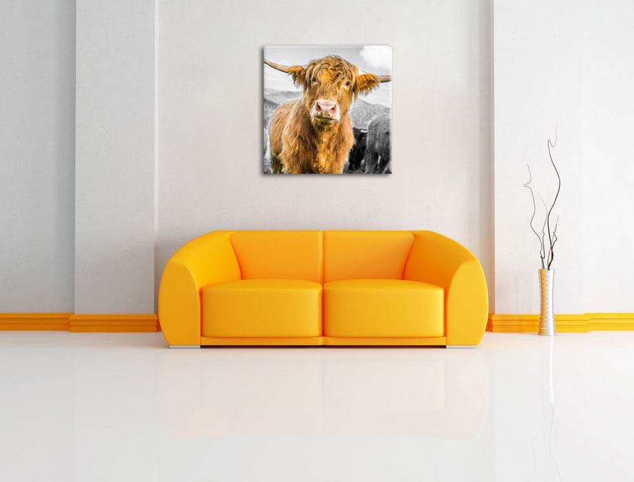 Blick einer Kuh an der Weide B&W Leinwandbild Quadratisch über Sofa