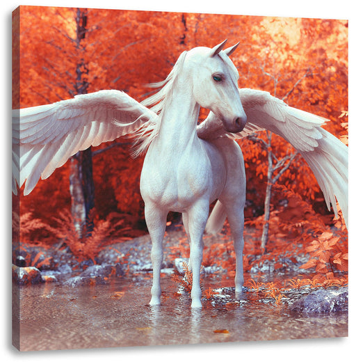 Pegasus im Fluss eines Herbstwaldes Leinwanbild Quadratisch