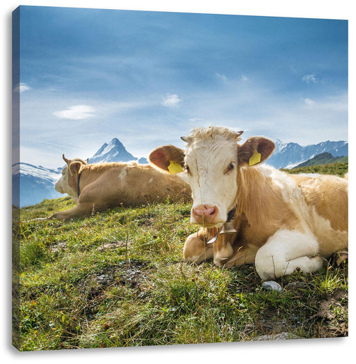 Simmentaler Kühe vor Schweizer Alpen Leinwanbild Quadratisch