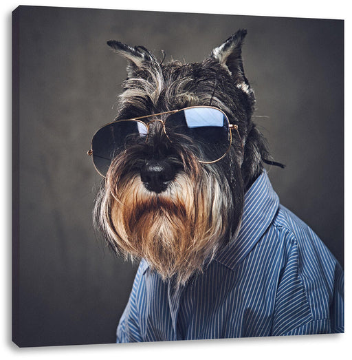 Lustiger Hund mit Hemd und Sonnenbrille Leinwanbild Quadratisch