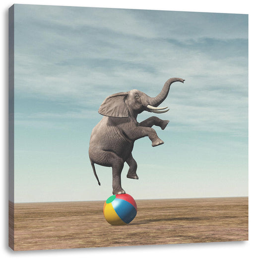 Elefant in der Wüste balanciert auf Ball Leinwanbild Quadratisch