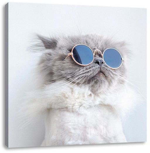 Coole Katze mit runder Sonnenbrille Leinwanbild Quadratisch