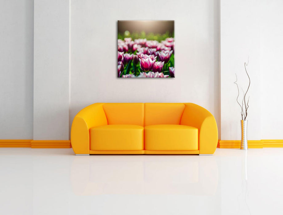 Nahaufnahme zweifarbige Tulpen Leinwanbild Wohnzimmer Quadratisch