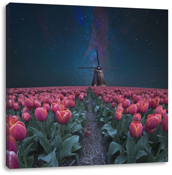 Tulpenfeld mit Windmühle bei Nacht Leinwanbild Quadratisch