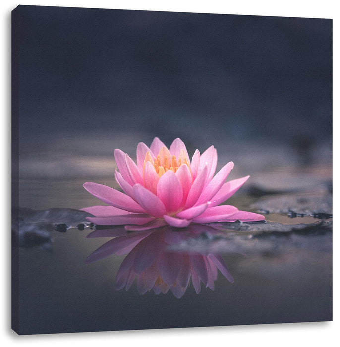 Leuchtende Lotusblüte auf grauer Pfütze Leinwanbild Quadratisch