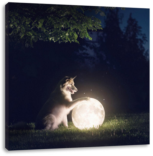 Hund mit leuchtendem Mond bei Nacht Leinwanbild Quadratisch